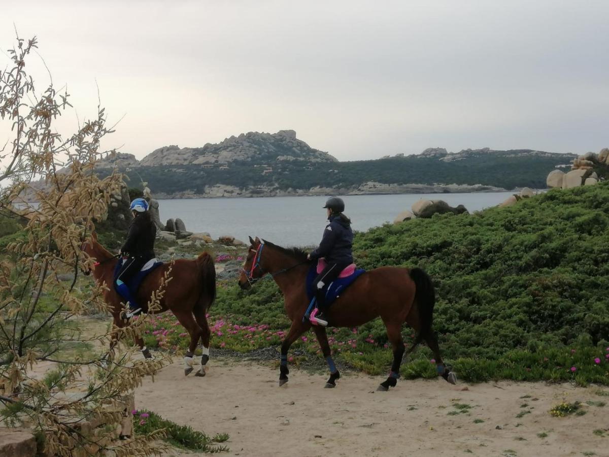 Casa Baia Santa Reparata - Santa Teresa Di Gallura Iun Q1712 Dış mekan fotoğraf